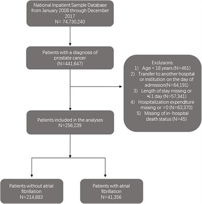 Prevalence and outcomes of atrial fibrillation in patients suffering prostate cancer: a national analysis in the United States
